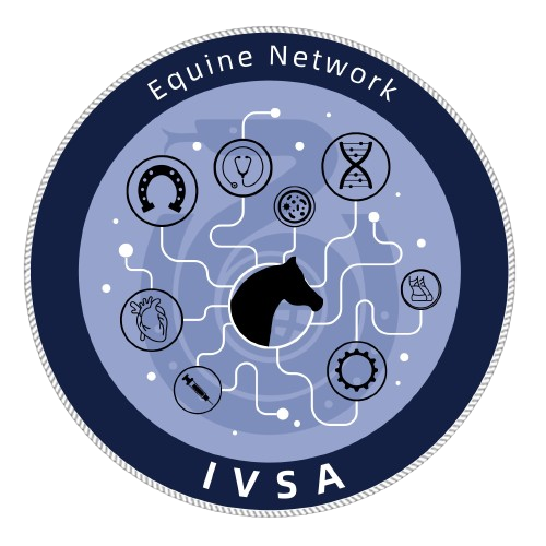 Equine Network International Veterinary Students Association